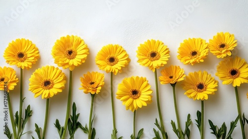 Vibrant Yellow Flowers on White Background for Mother's Day Marketing and Spring Promotions