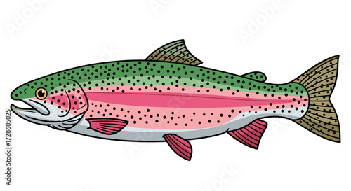 Side View Vector Artwork of a Colorful Flat Design Trout, Isolated for Graphic Projects