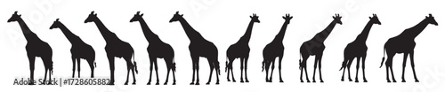 giraffe silhouette white background vector illustration