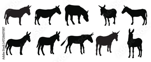 donkey silhouette vector illustration