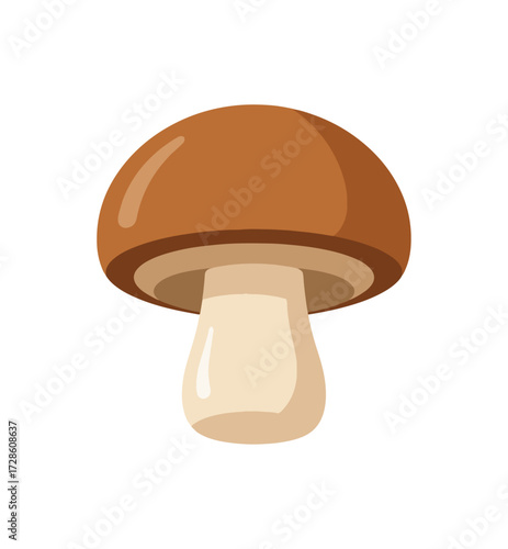Mushroom illustration cartoon