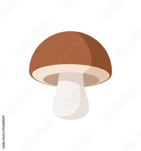 Mushroom illustration