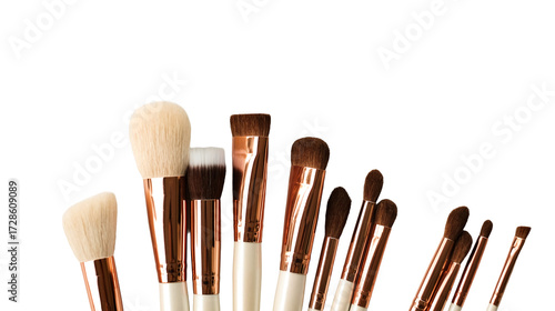 different size brushes for makeup painting blush - cosmetics applicators 