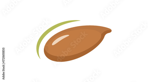 Seed illustration for education