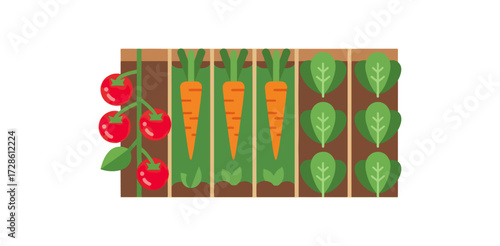 Vertical vegetable garden illustration with carrots tomatoes and spinach