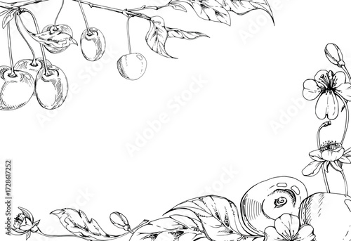 Sweet sour line cherry with plant leaves, white flowers, hand drawn vector ink, cerise berry clusters on stems. Horizontal corner frame illustration. Restaurant, cafe menu, wedding, farmers market