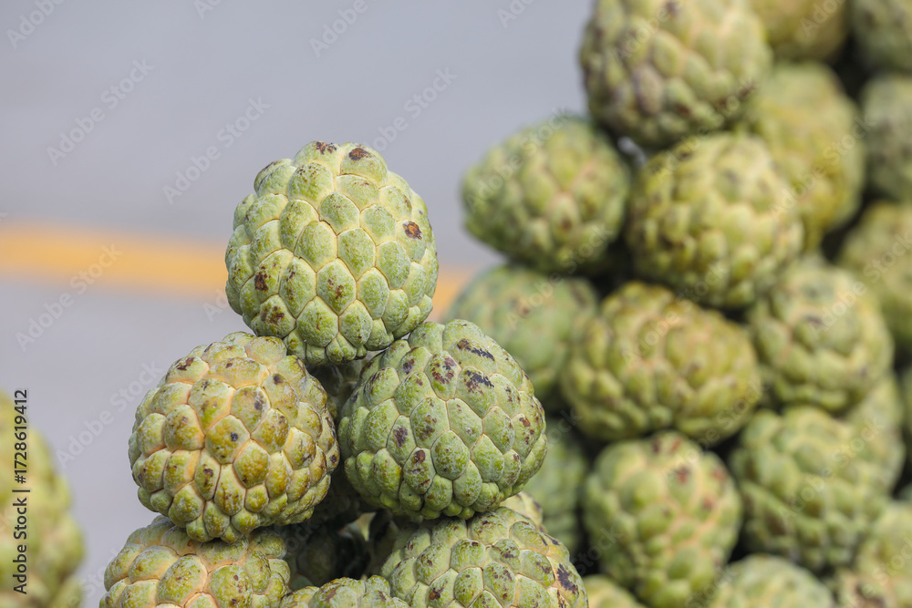 Fototapeta premium custard apple in the market