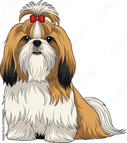 Chinese Imperial Dog sitting groomed pose vector illustration