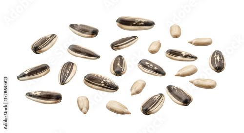 Sunflower seeds isolated on white background cutout transparent png