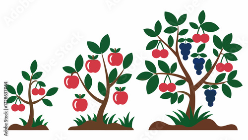 Illustration of Fruit Trees Growing Stages Representing Business Development and Agricultural Growth Over Time and Life Cycle