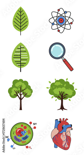 Eight flatdesign icons related to botany physics biology and anatomy arranged in two columns