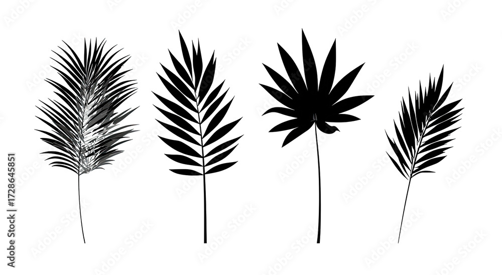 Obraz premium Abstract feather-like forms