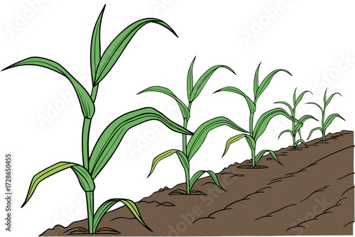 green plant growing in soil