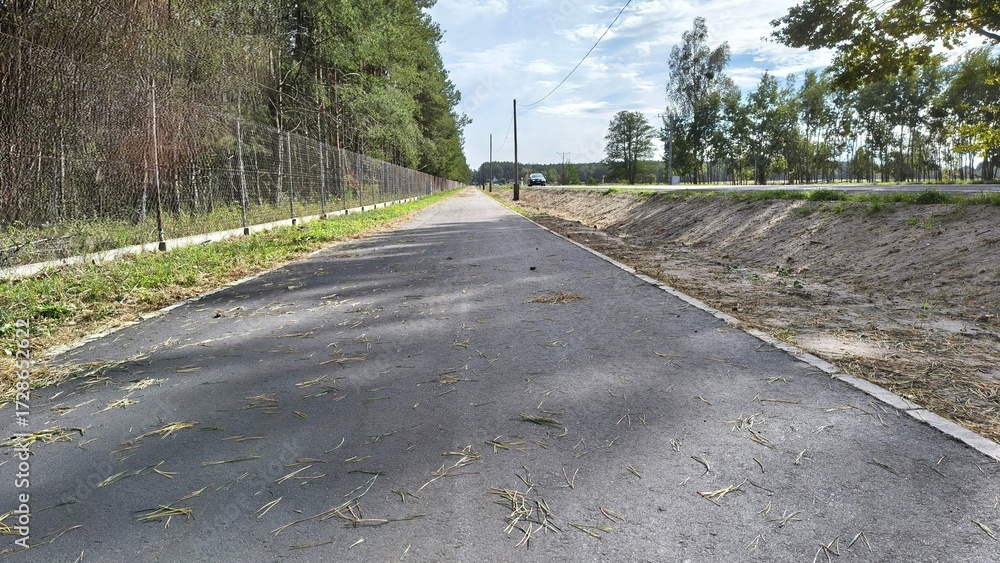 Fototapeta premium Ścieżka rowerowa 