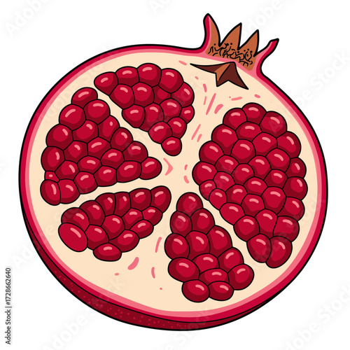 Vibrant Hand Drawn Pomegranate Cut in Half, Revealing Juicy Red Arils and Seeds, Healthy Fruit Illustration