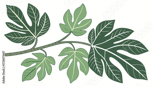 Detailed Botanical Illustration of Green Fig Leaves on a Branch, Fresh Nature Foliage Design Element