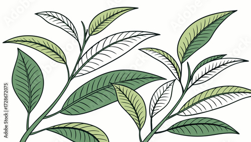 Vibrant Green Tea Leaves and Shoots Illustration with Stylized Outline Detail, Botanical Vector on White Background