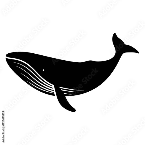 Whale illustration vector image of marine mammal ocean life aquatic animal silhouette for design projects