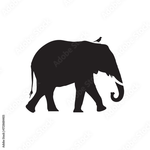 Graceful elephant silhouette with perched bird and gentle grassland details.