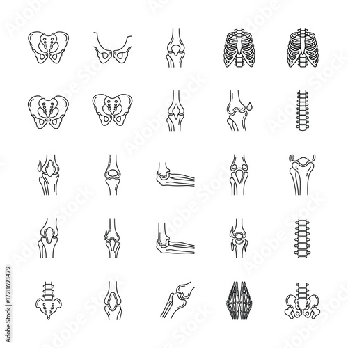 High-Quality Flat Vector: 8k Set of Human Joint & Bone Illustrations