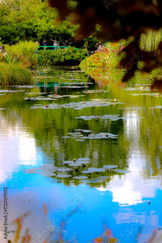 bassin aux nymphéas