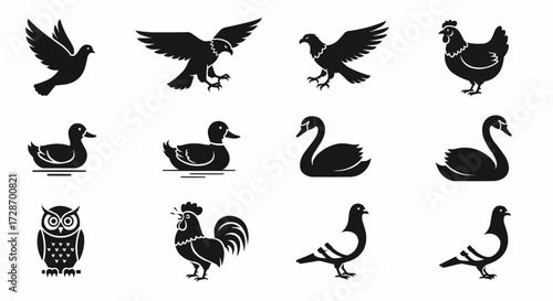 Diverse Bird Silhouettes Collection Pigeon, Eagle, Swan & More