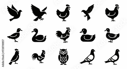 Collection of Bird Silhouettes Including Pigeons, Doves, Chickens, Ducks, and Owls