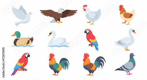 Colorful set of various bird icons, showcasing a diverse collection of avian species from farm poultry to wild animals. Flat vector cartoon character illustrations