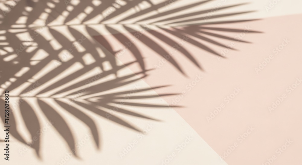 Fototapeta premium Soft tropical palm leaf shadows create a serene natural ambiance for your design projects