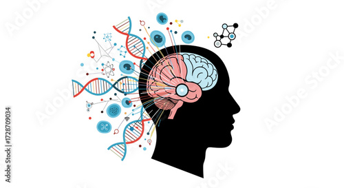 Exploring the intricate connections between genetics and cognitive functions within the human mind.