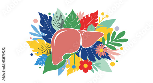 Exploring the fascinating anatomy and vital functions of the human liver.