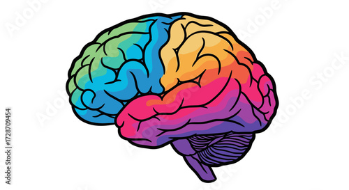 A vibrant multicolored human brain illustration showing different functional areas in a stylized artistic representation.
