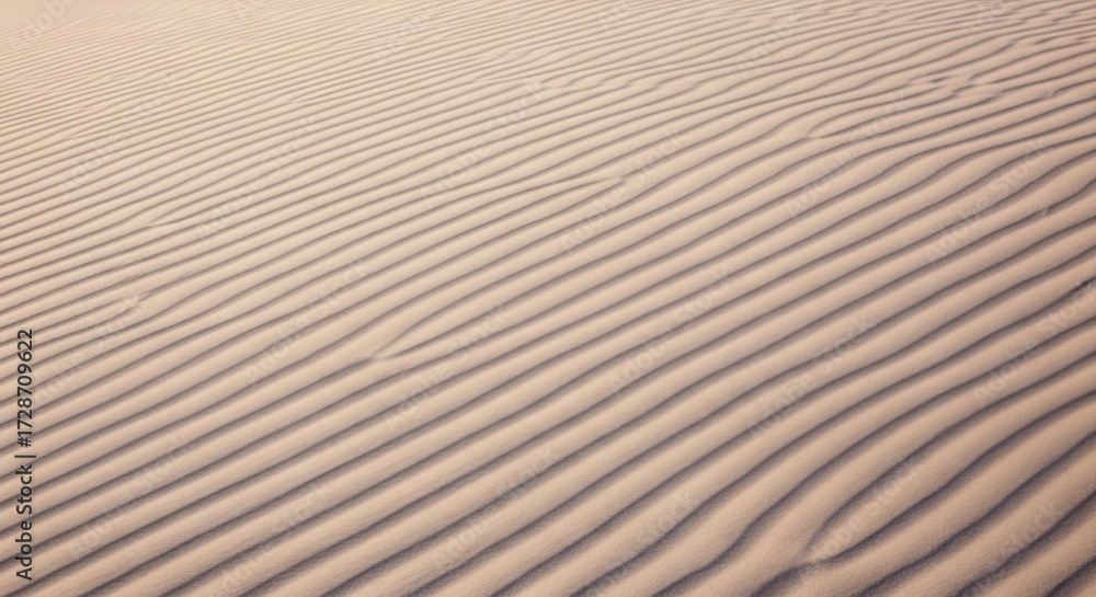 Fototapeta premium Golden desert sand dunes textured ripples under soft natural light serene landscape