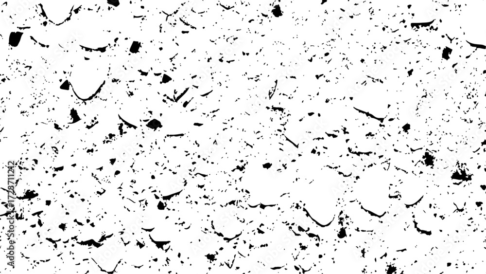 Fototapeta premium Black and white Grunge Texture Background. Black & White Dust Grain, Dirt Overlay for Vintage & Abstract Designs. Black & White Grunge Texture. 
