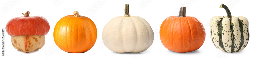 Fototapeta premium Fresh pumpkins isolated on white, set. Autumn vegetable
