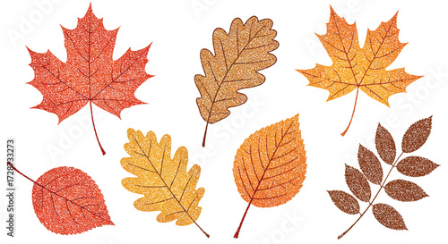 Colorful autumnal leaves illustration in various shades of brown and orange
