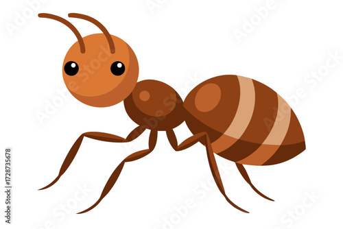 ant isolated on white background