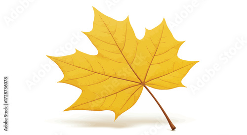 Vibrant autumnal beauty: A single yellow maple leaf isolated on white background