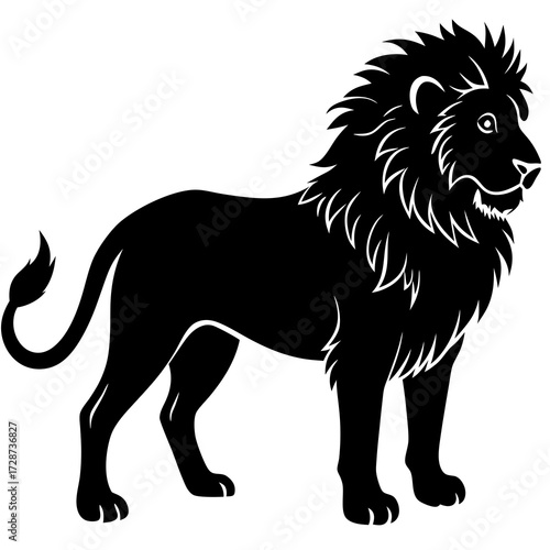 lion vector illustration