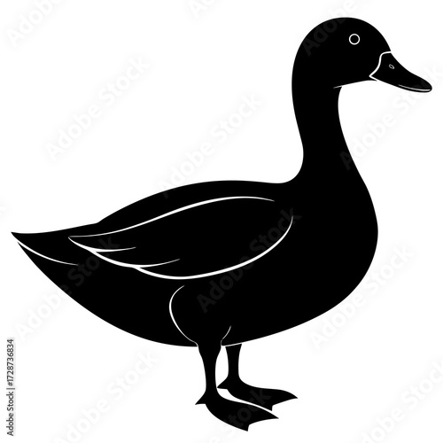 vector illustration of duck