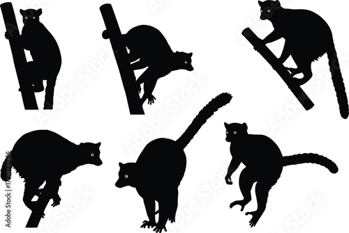Silhouette of lemurs on trees, wild lemur shadows, Madagascar primate animals, climbing lemurs illustration, black silhouettes isolated on white background