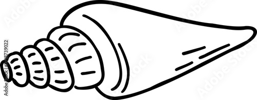 A black and white illustration of a spiral seashell