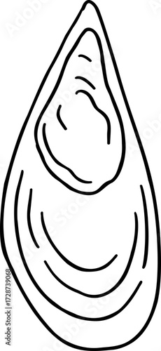 A black and white line drawing of a mussel shell