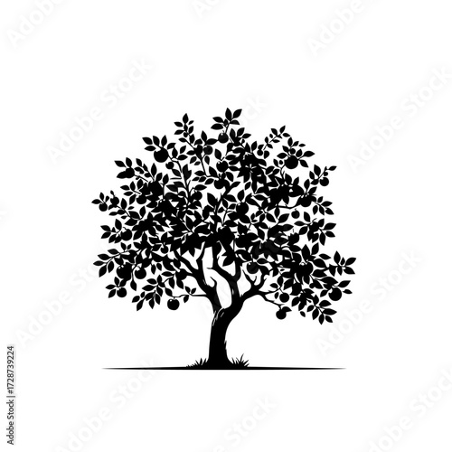 Apple Tree Vector Illustration – Ripe Fruit Tree for Orchard and Farm Design