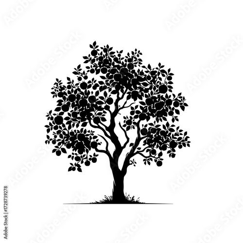 Apple Tree Vector Illustration – Orchard Fruit Tree with Ripe Apples