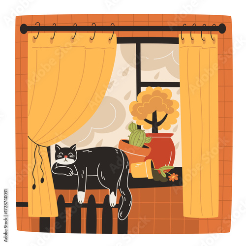 A black cat sleeps on a radiator by a rainy window with potted plants