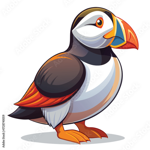 Colorful Puffin Bird Illustration with Large Beak on White Background seabird Atlantic puffin