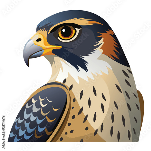 Detailed portrait of a peregrine falcon head and upper body, looking left bird of prey raptor