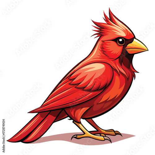 Vibrant Red Cardinal Bird Illustration on White Background red bird northern cardinal