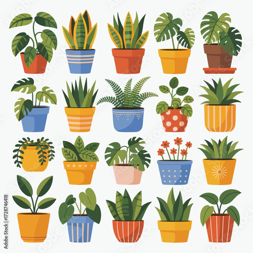 Assorted potted houseplants in decorative and patterned containers Keywords: potted plants, houseplants, indoor plants, green foliage, leaves